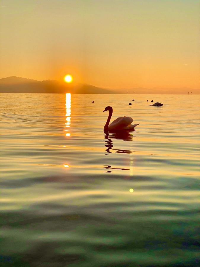 Adoris Appartements Im Lotzbeckpark Am See "Nachhaltiges Wohnen In Lindau" Lindau  Zewnętrze zdjęcie